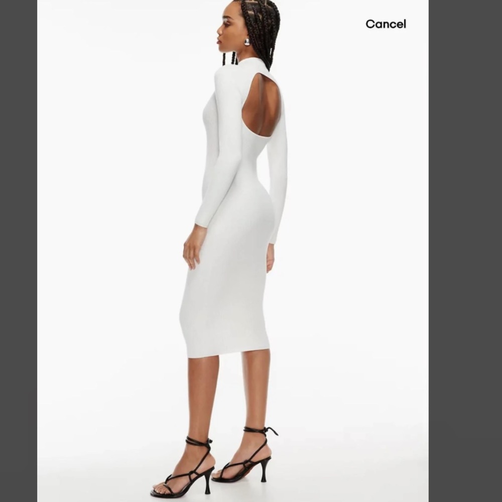 Aritzia Babaton compose dress